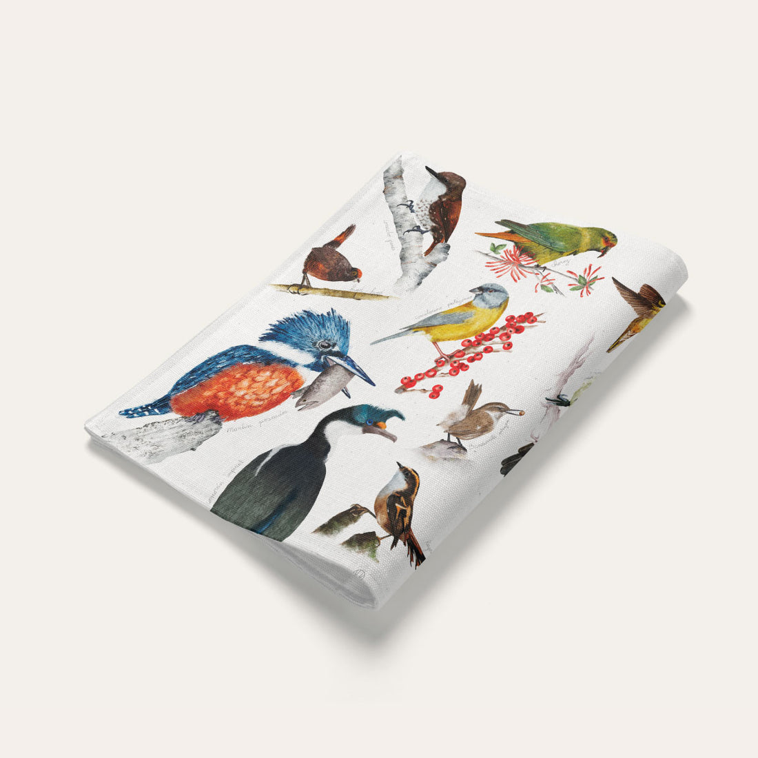 Pack 2 individuales de tela aves nativas del sur de Chile