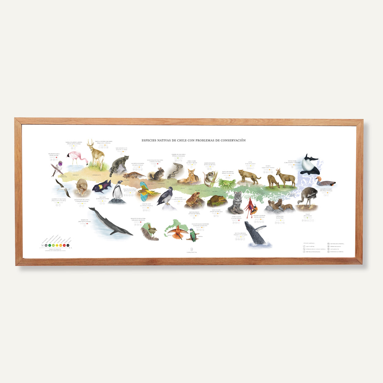 Mapa especies nativas de Chile con problemas de conservación