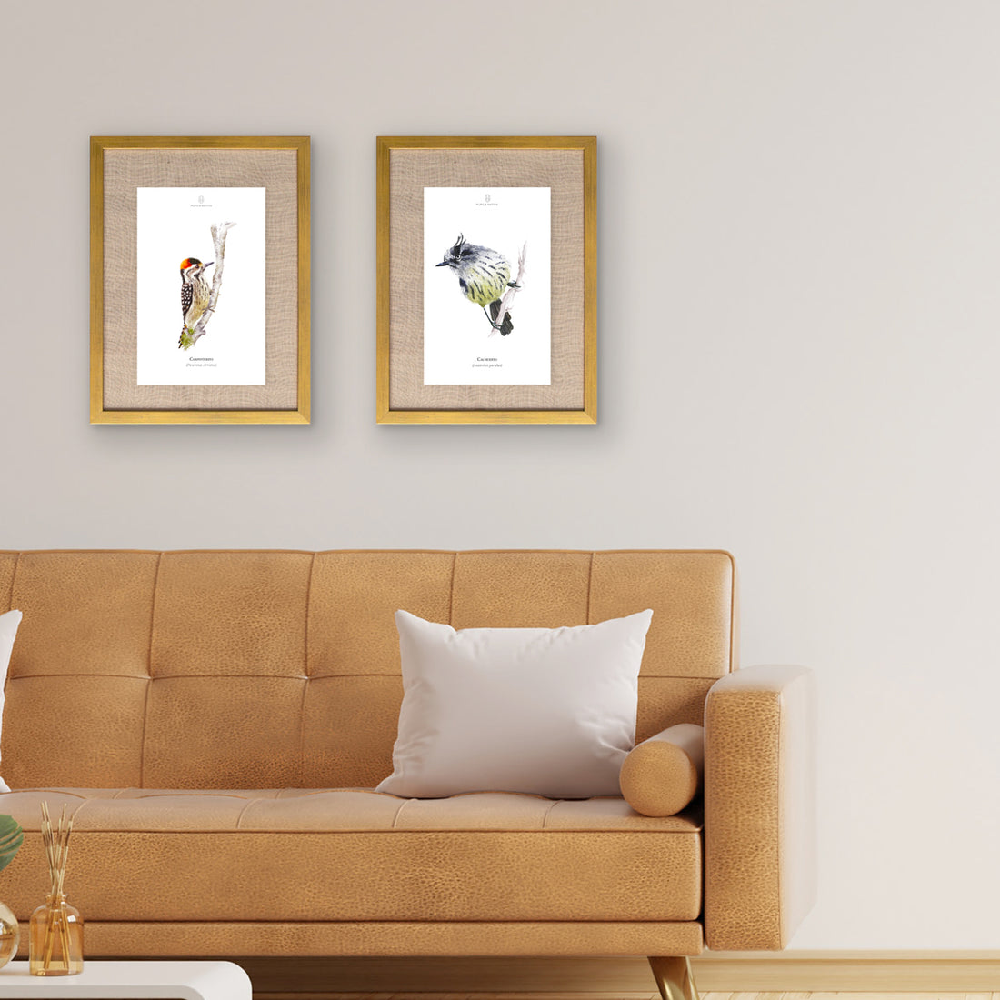 Lámina Carpinterito