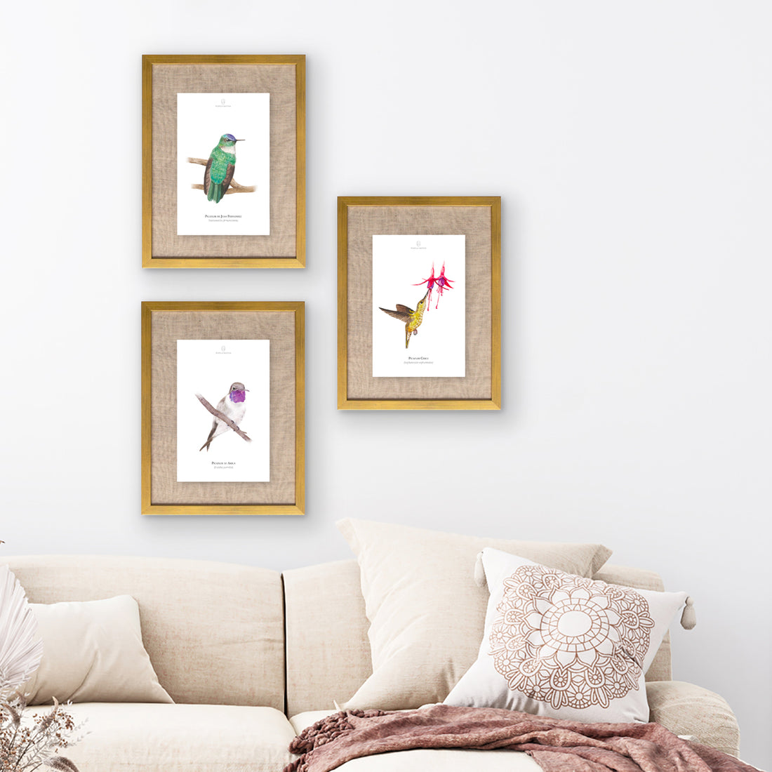 Lámina Picaflor de Arica