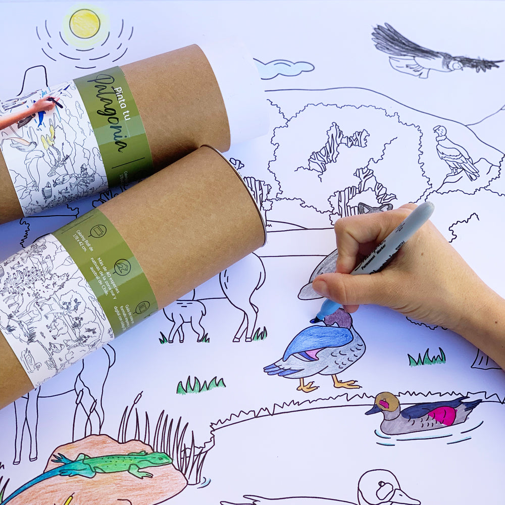 Coloring Roll "Pinta tu patagonia"