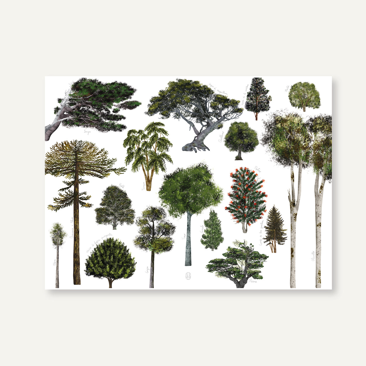 Individuales árboles nativos del sur de Chile