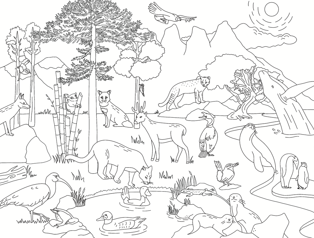 ¡Descarga gratis! Patagonia coloreable