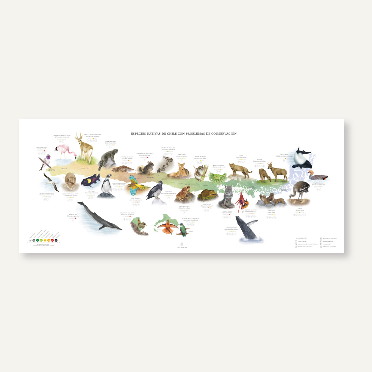 Mapa especies nativas de Chile con problemas de conservación