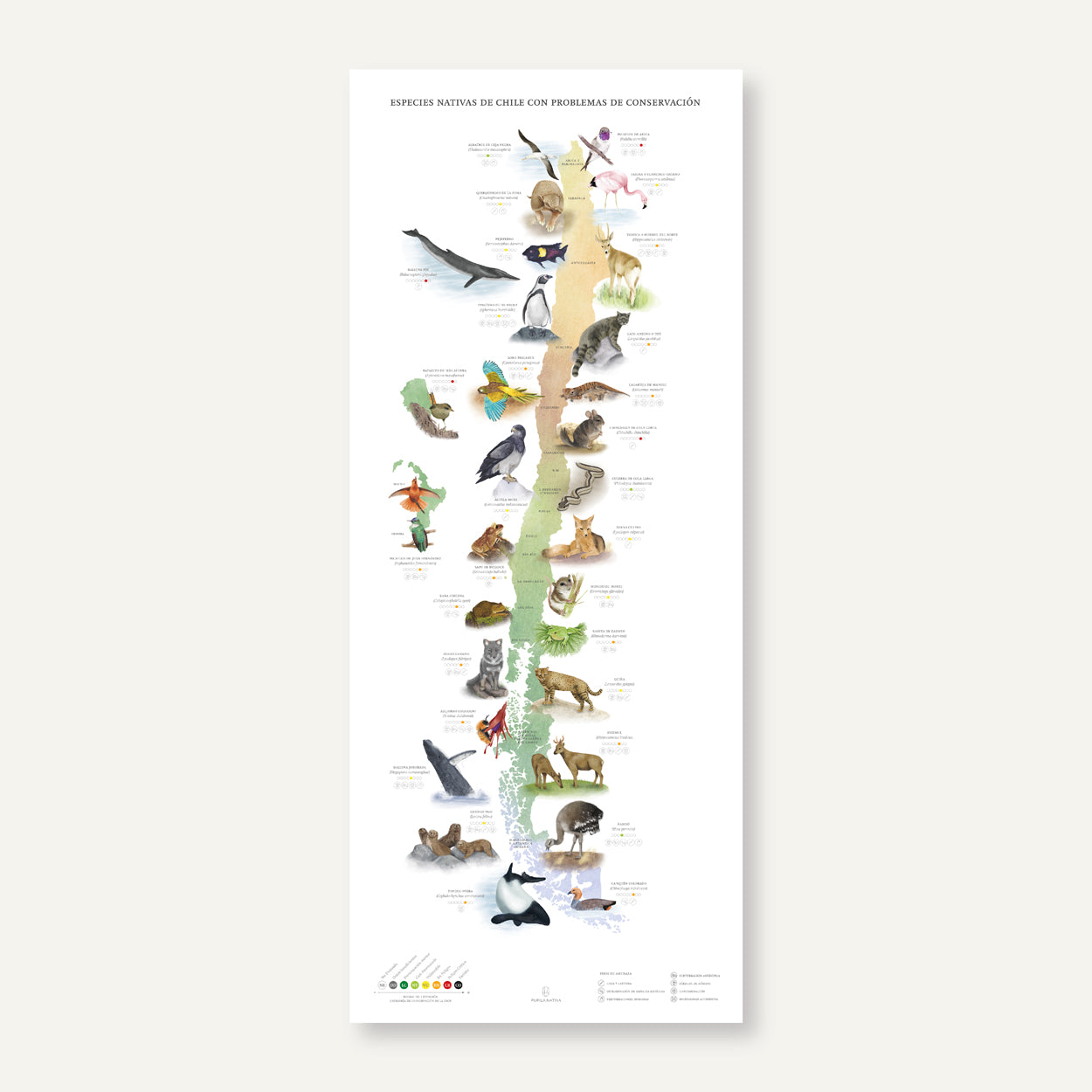 Mapa especies nativas de Chile con problemas de conservación