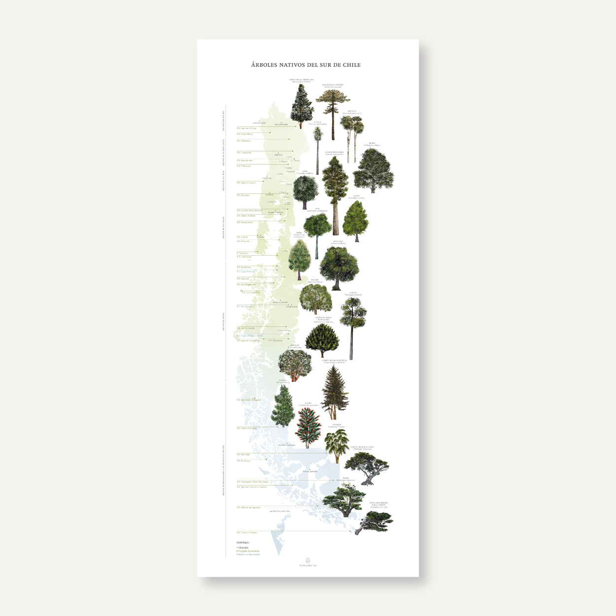 Mapa árboles nativos del sur de Chile