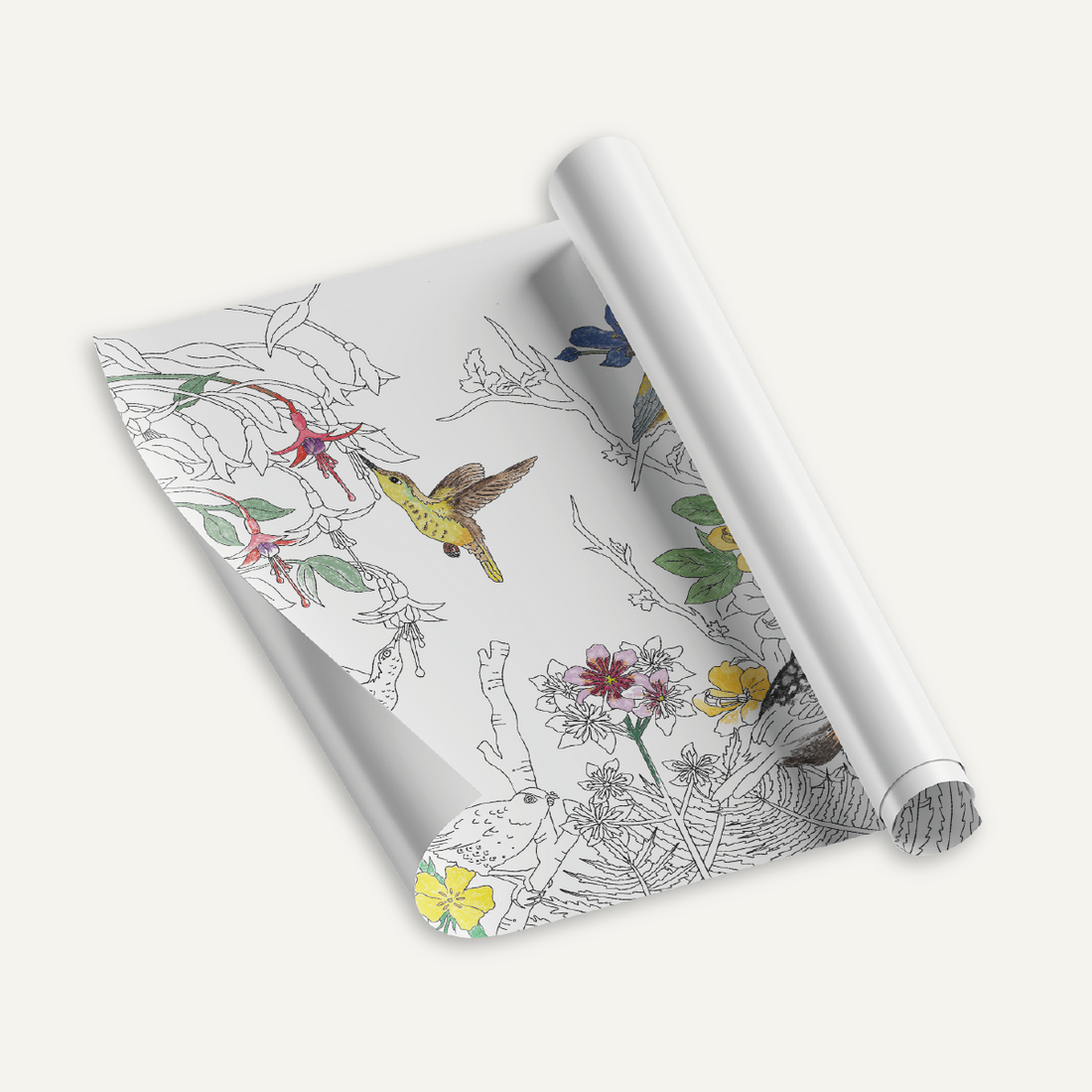 Coloring Roll "Flores y Aves"