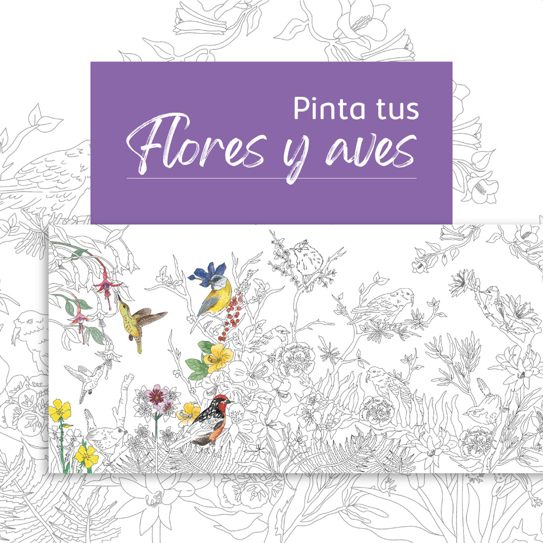 Coloring Roll "Flores y Aves"