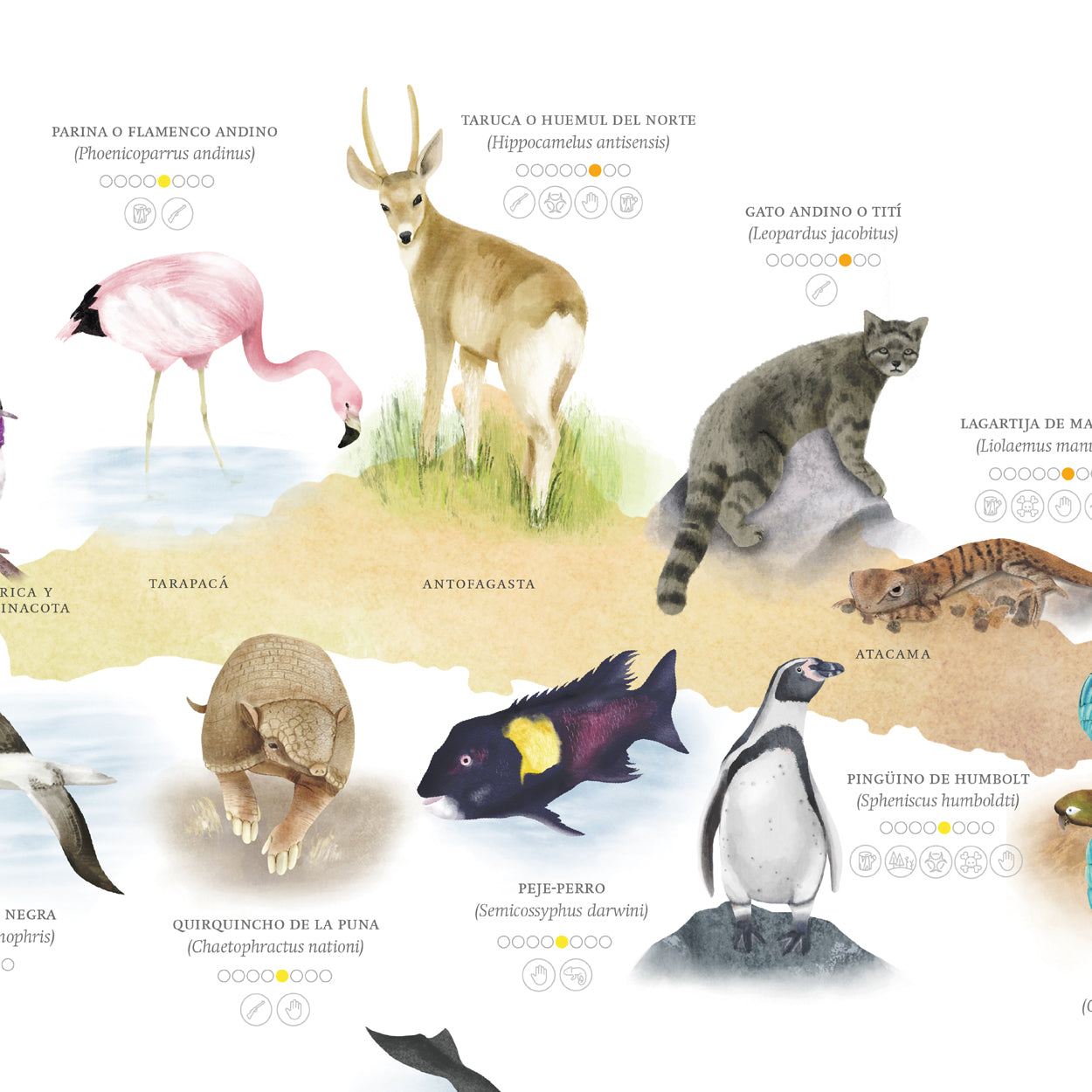Mapa especies nativas de Chile con problemas de conservación