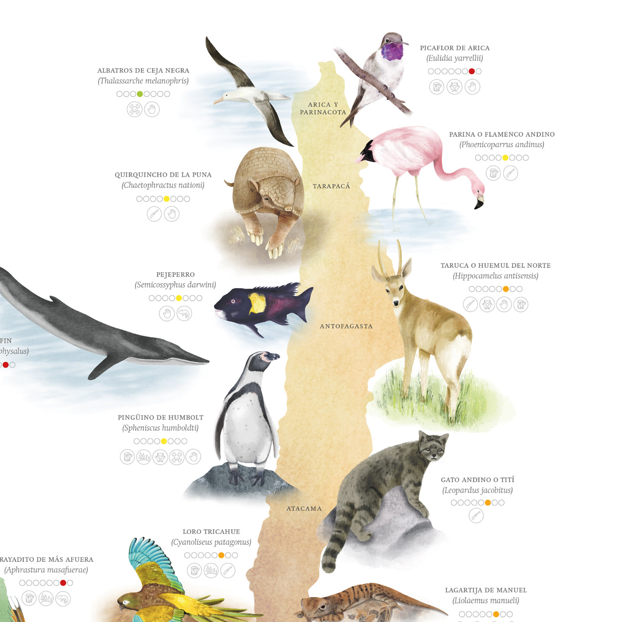 Mapa especies nativas de Chile con problemas de conservación